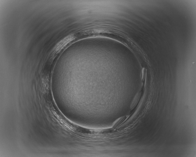 X0000085290785200703161449