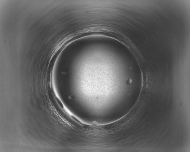 X0000085290786200703161449