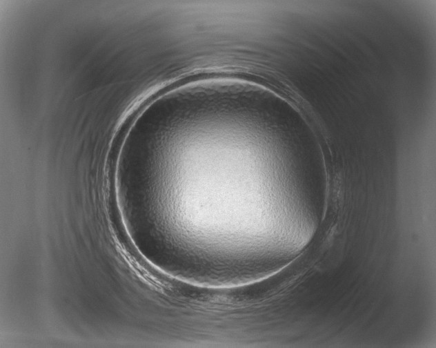 X0000085290787200703161449