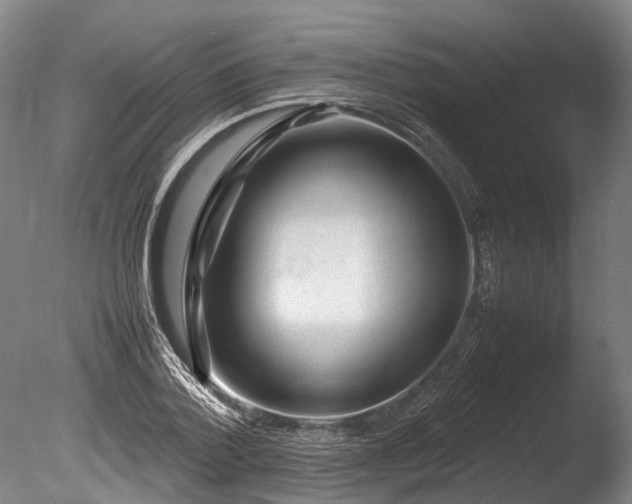 X0000085290788200703161449