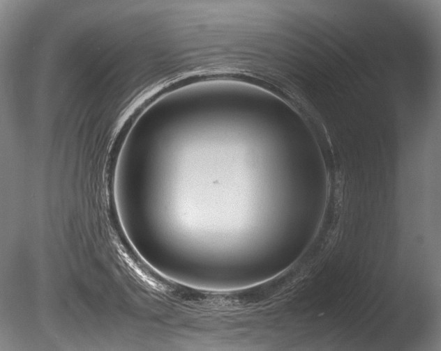 X0000085290789200703161449