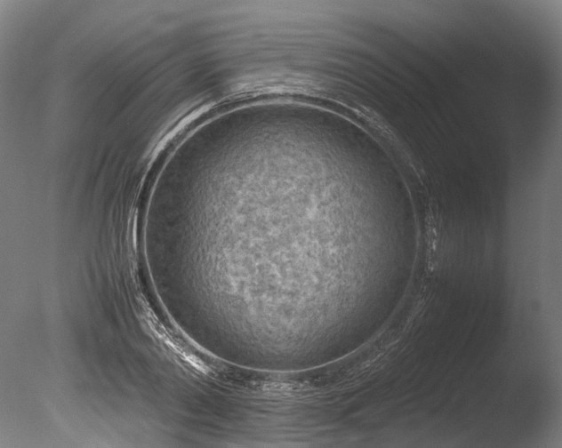 X0000085290790200703161449