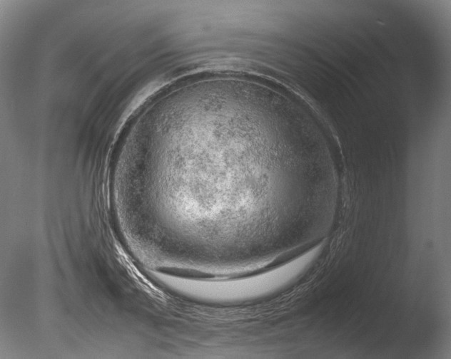 X0000085290791200703161449