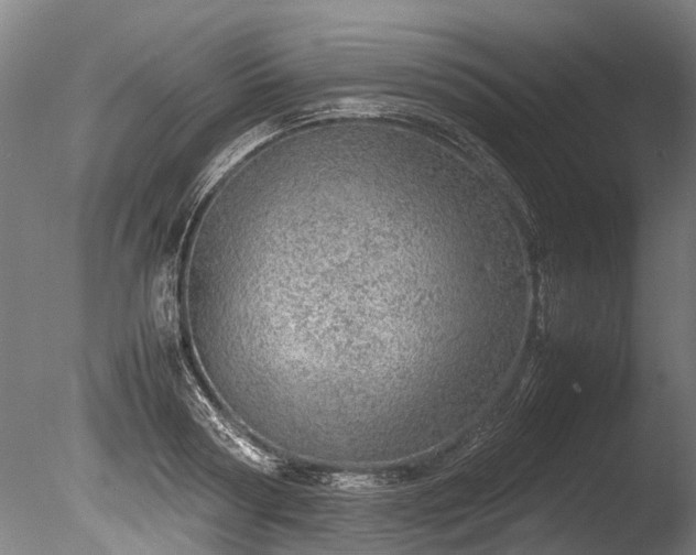 X0000085290794200703161449