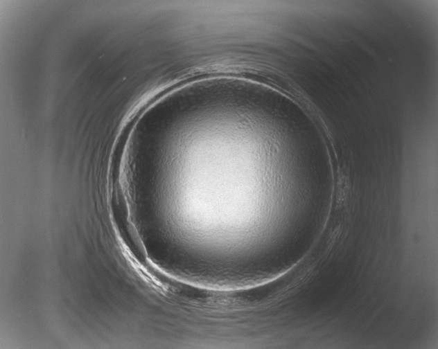 X0000085290795200703161449