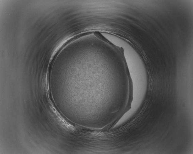 X0000085290796200703161449