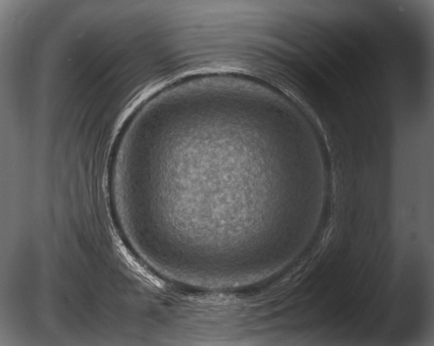 X0000085290797200703161449