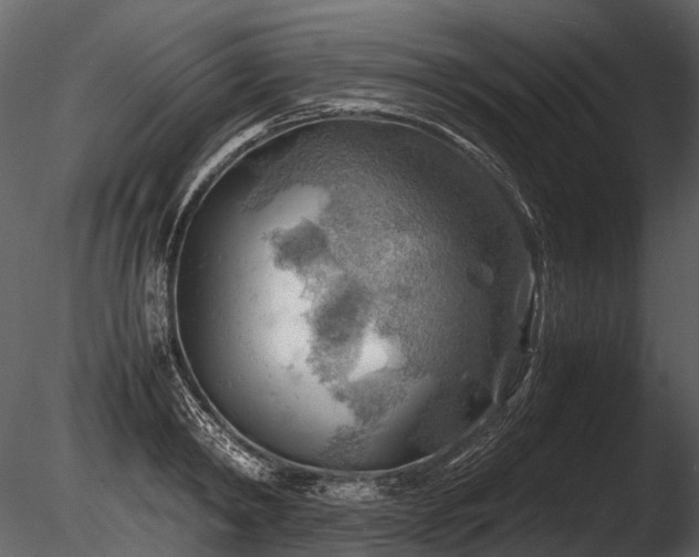 X0000085290798200703161449