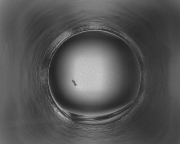 X0000085290801200703161448