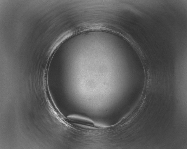 X0000085290806200703161448