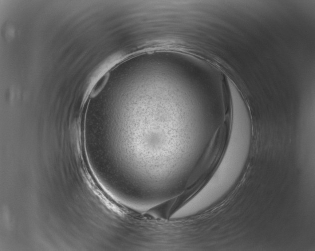 X0000085290812200703161448