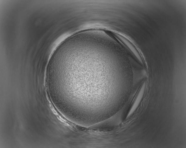 X0000085290815200703161448