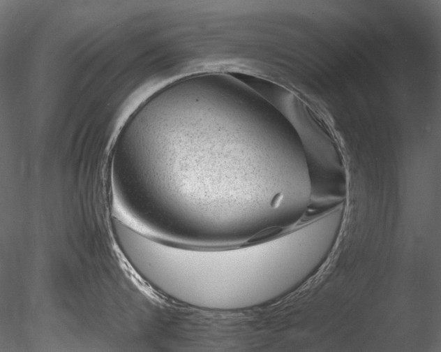 X0000085290816200703161448