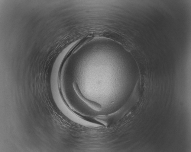 X0000085290818200703161447