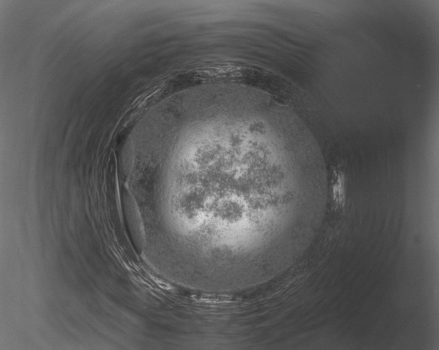 X0000085290819200703161447