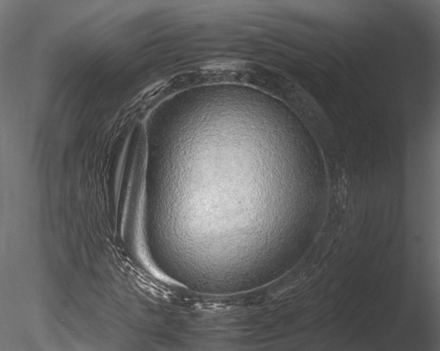 X0000085290821200703161447