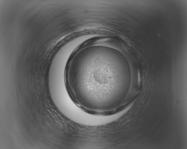 X0000085290822200703161447