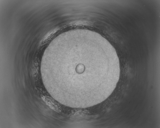 X0000085290824200703161448