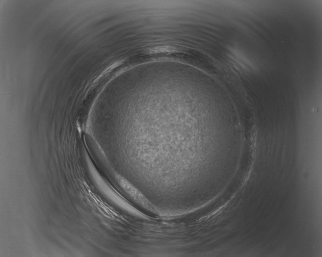 X0000085290825200703161448