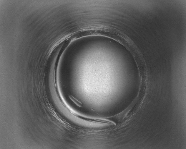 X0000085290826200703161448