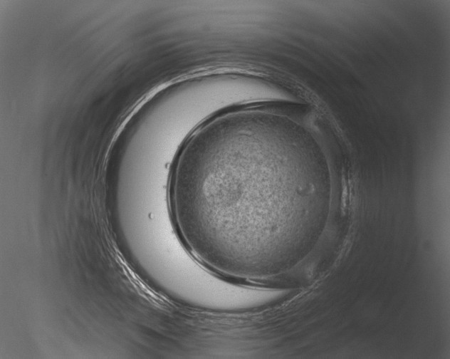 X0000085290828200703161448