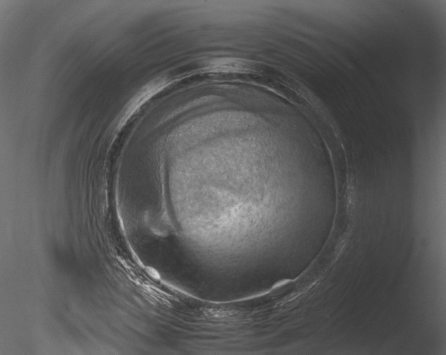 X0000085290829200703161448