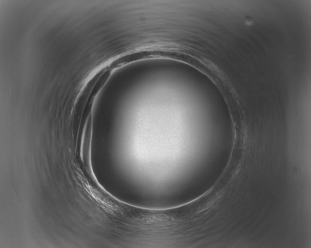 X0000085290830200703161448