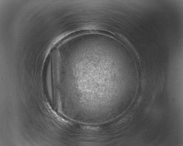 X0000085290831200703161448