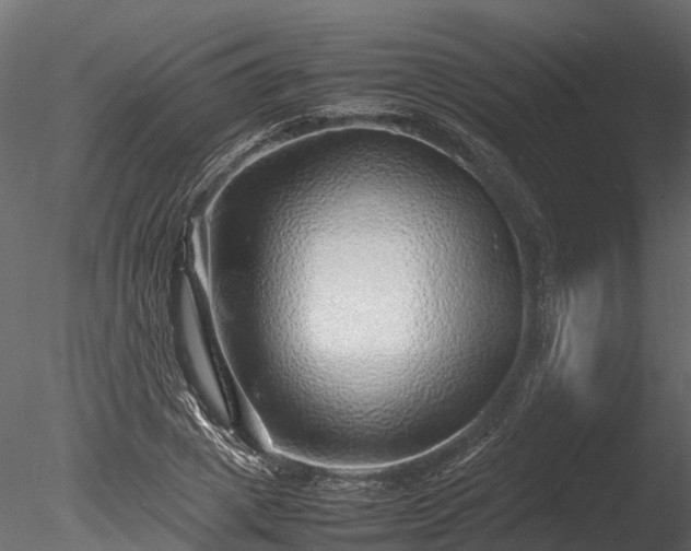 X0000085290833200703161448