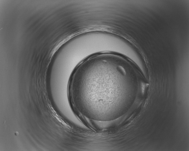 X0000085290834200703161448