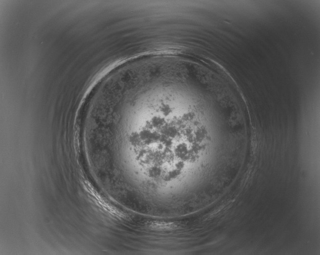 X0000085290835200703161448