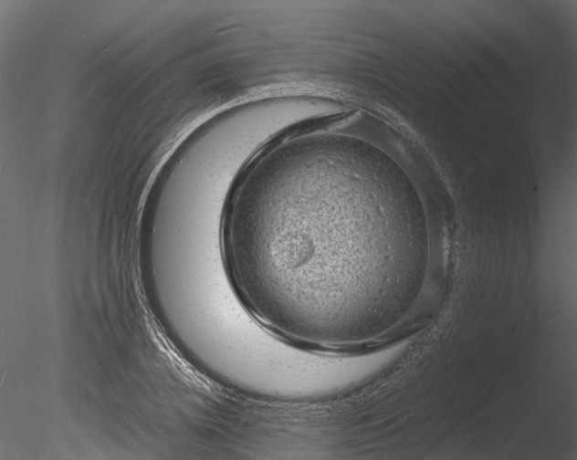 X0000085290836200703161448