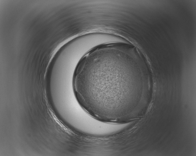 X0000085290838200703161448