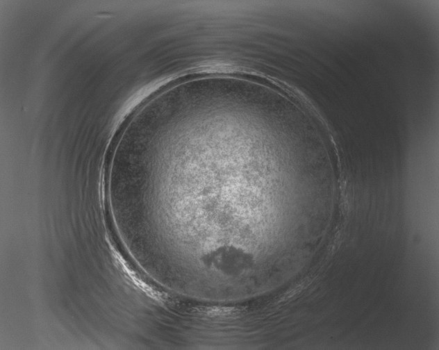 X0000085290839200703161448