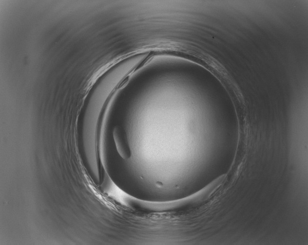 X0000085290842200703161448