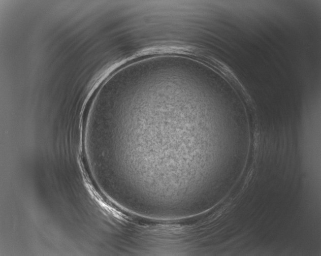 X0000085290844200703161448