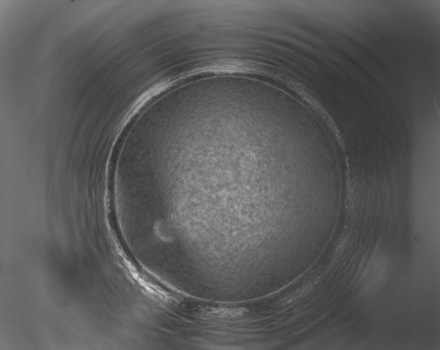 X0000085290845200703161448