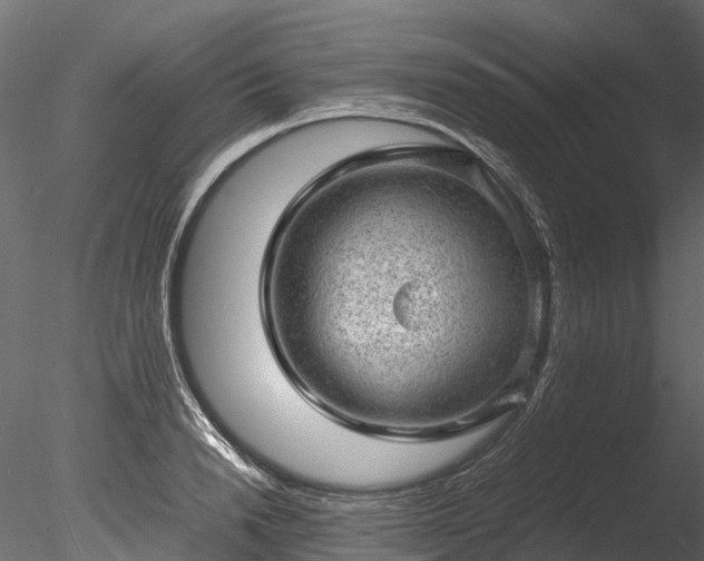 X0000085290846200703161448