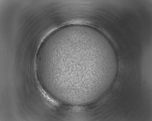 X0000085290848200703161448