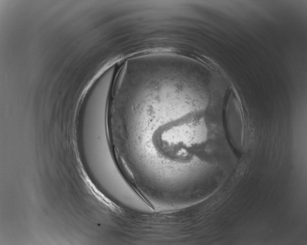 X0000085290851200703161448