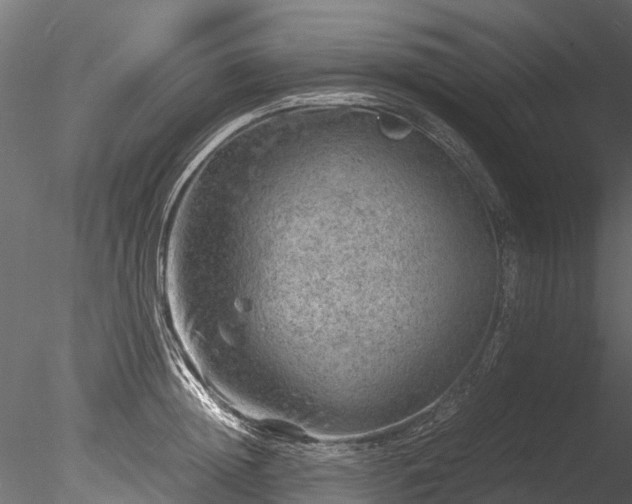 X0000085290852200703161448