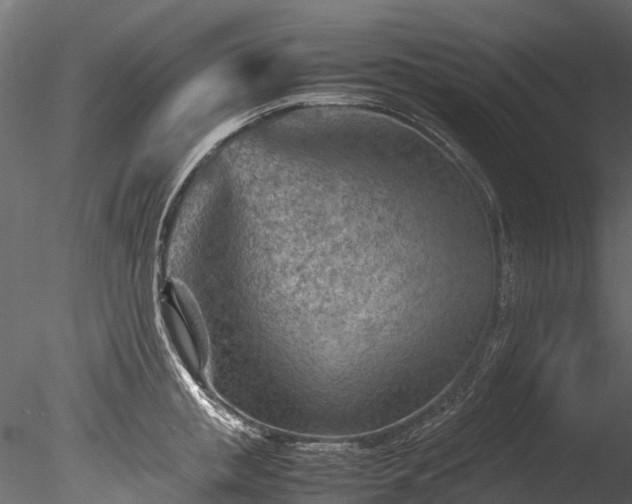 X0000085290853200703161448