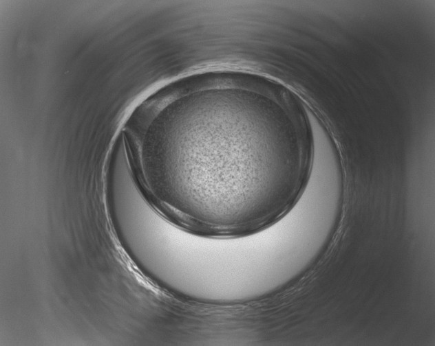 X0000085290854200703161448