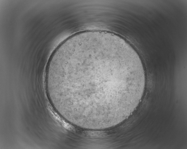 X0000085290856200703161448