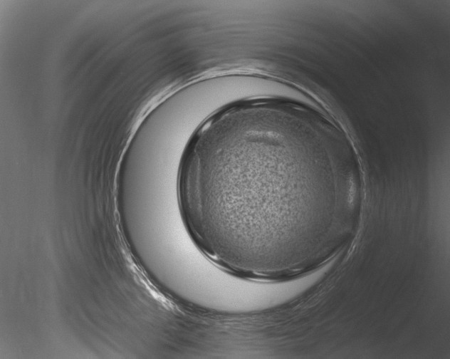 X0000085290858200703161448