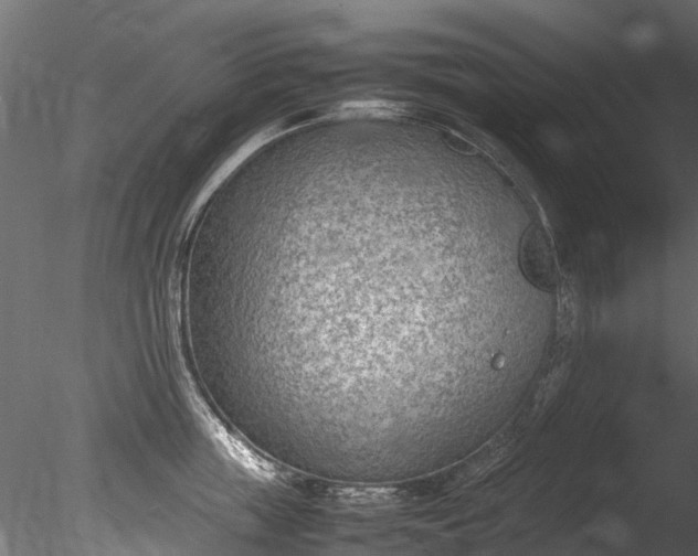 X0000085290859200703161448