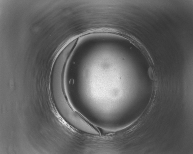 X0000085290860200703161448