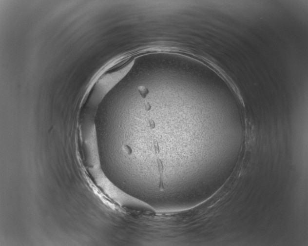 X0000085290861200703161448