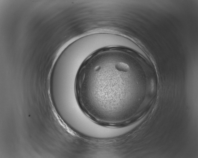 X0000085290862200703161448