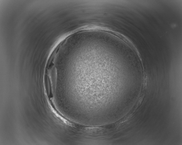 X0000085290863200703161448